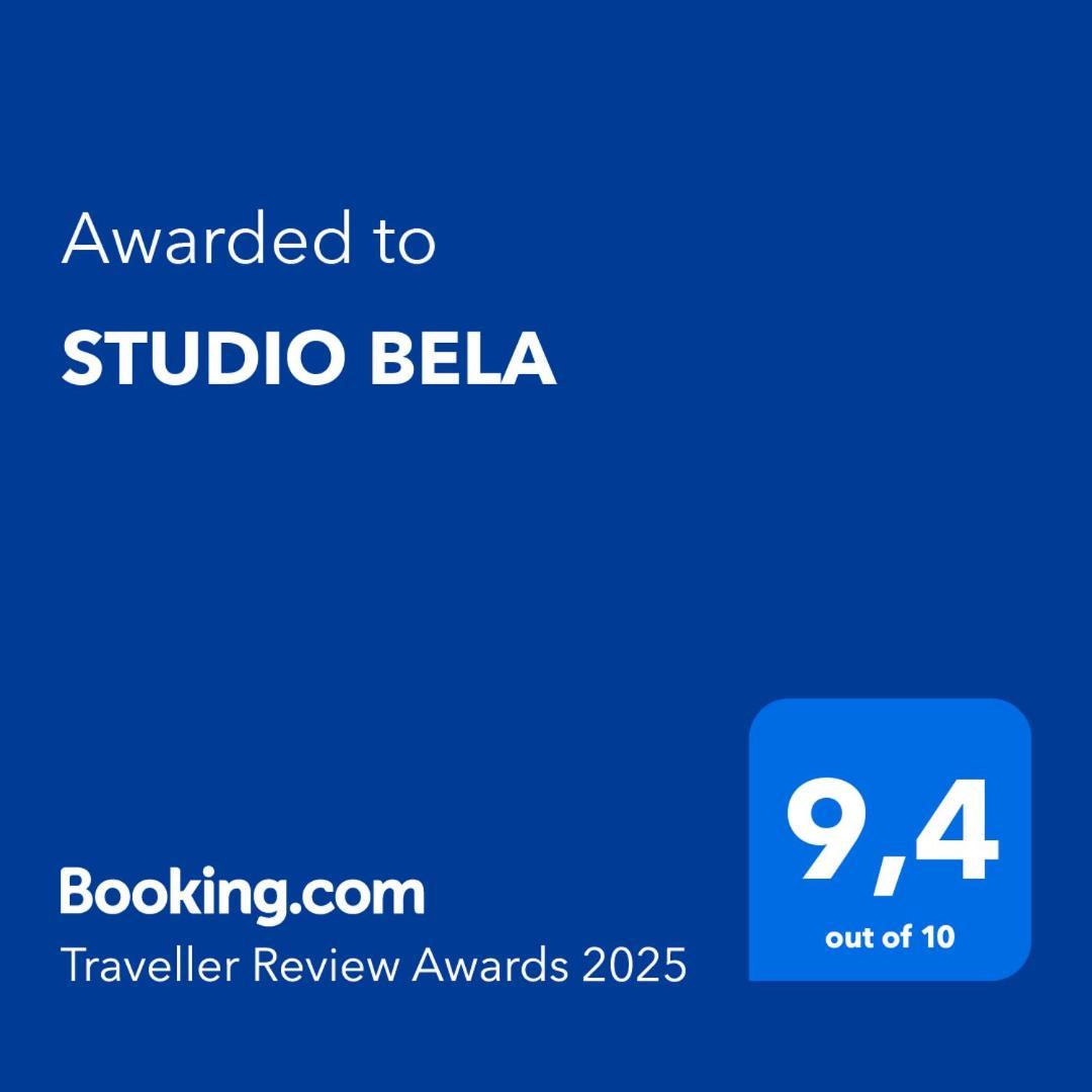 Studio Bela Radovljica Luaran gambar